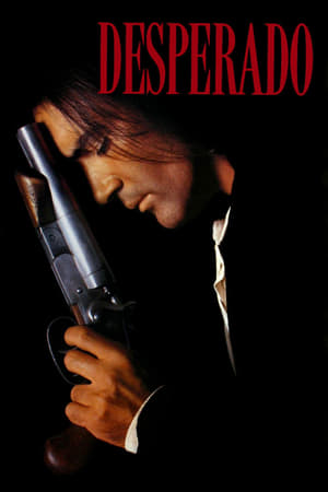 Desperado 1995 Hindi Dual Audio [870MB]