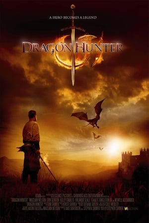 Dragon Hunter (2009) Hindi Dual Audio [1GB]