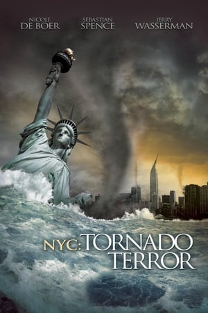 NYC Tornado Terror 2008 Hindi Dual Audio 300MB