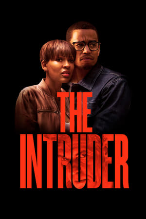 The Intruder (2019) Hindi Dual Audio 300MB